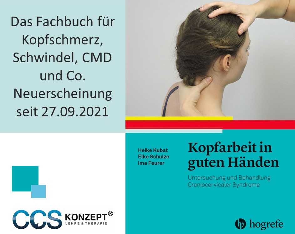 Fachbuch "Kopfarbeit in guten Händen"